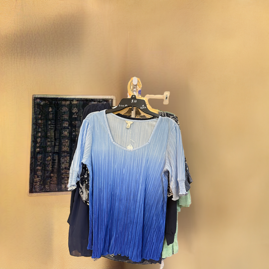 Blue Blouse